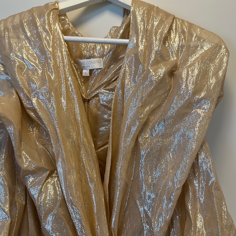 Caroline Constas party dress